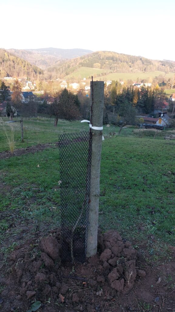 2024 Hruška Kratochvílovi